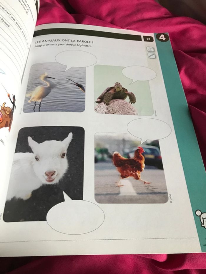 Cahier de vacances 4 ème primaire CE2 averbode - photo numéro 5