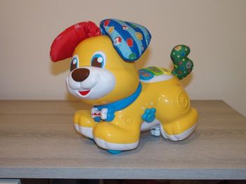 Bibou le chien qui fait coucou