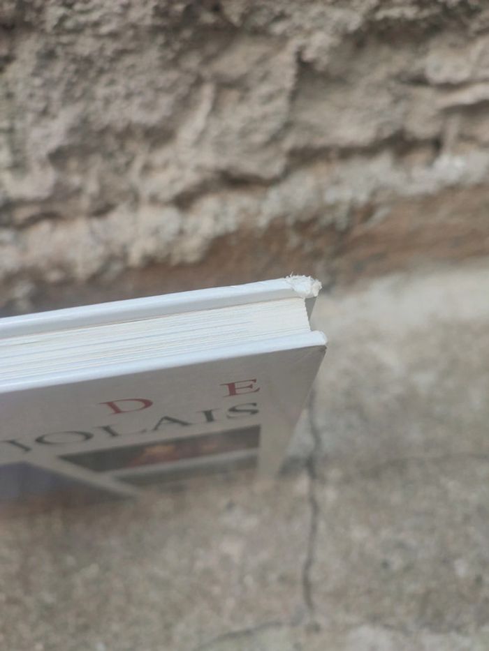Livre beauté de Lyon et du beaujolais - photo numéro 2