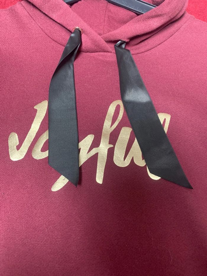 Sweat à capuche - photo numéro 2