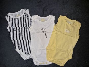 Lot 3 bodys manches courtes 50/56 cm