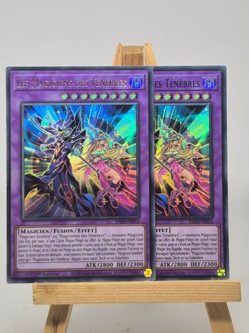 Lot dd 2 - les magiciens des ténébres
