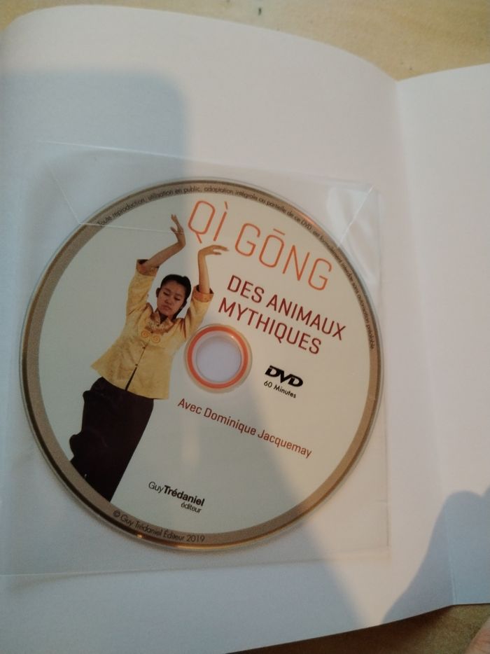 Gi Kong des animaux mythiques - photo numéro 3