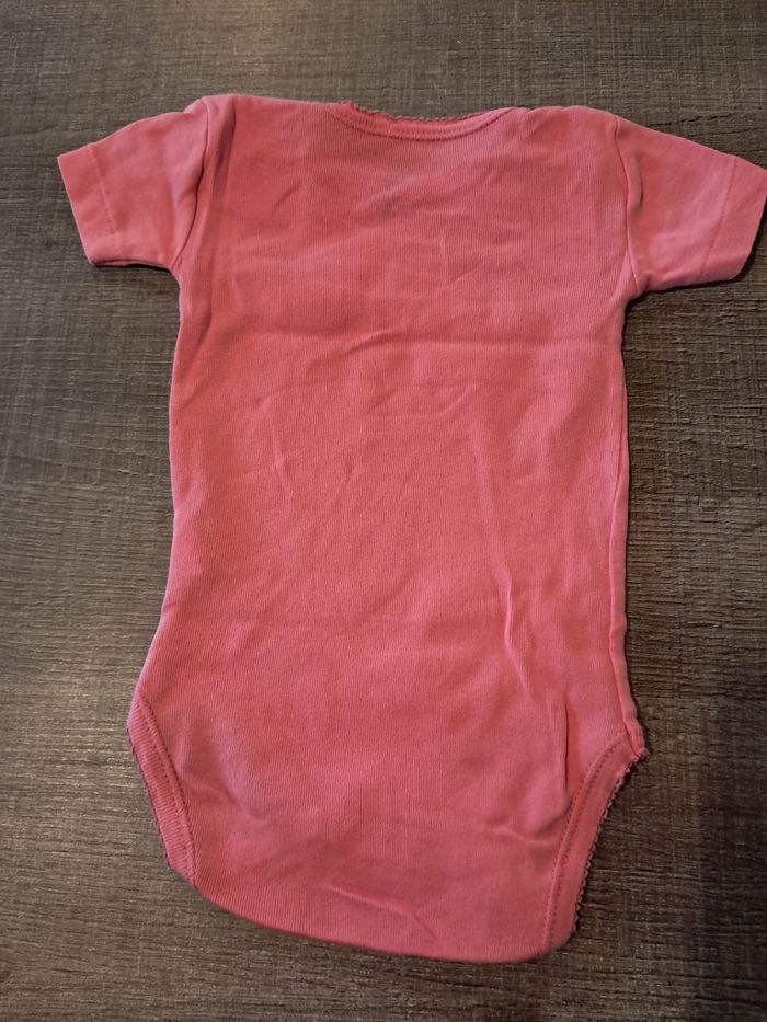 Bodie 6 mois - photo numéro 3