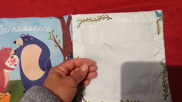 Mon premier album photo - photo numéro 4