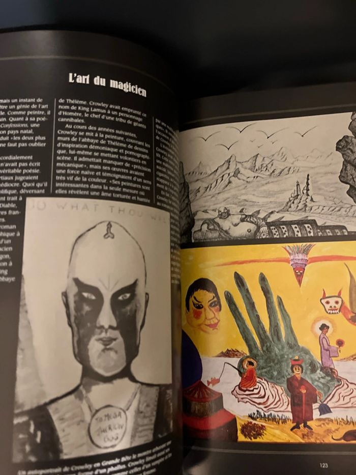 Attention à ne pas mettre entre toutes les mains ! 3 livres ésotériques - photo numéro 11