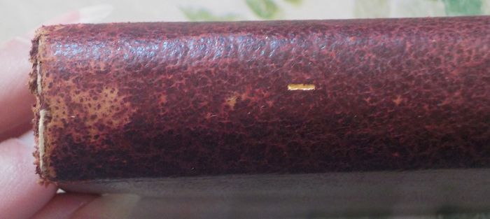 DON QUICHOTTE DE LA MANCHE T1&2 de Miguel CERVANTES Ed. Le Club du Livre Français 1948 - photo numéro 8