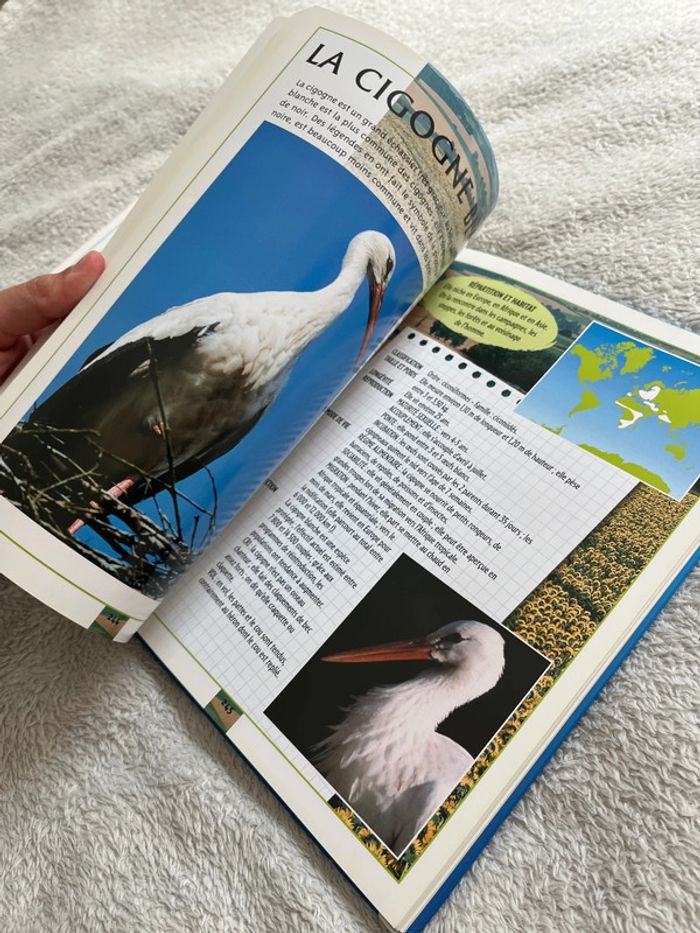 Livre atlas des animaux - photo numéro 8