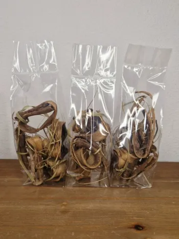 18 souak |  siwak |  dents blanches naturelles