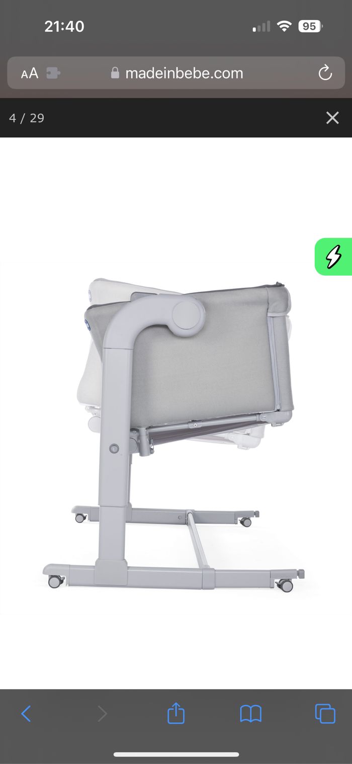 Cododo gris - photo numéro 2