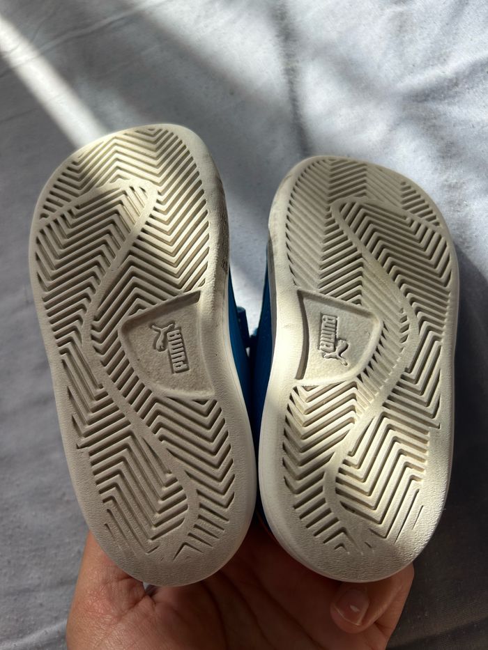 Basket - photo numéro 4