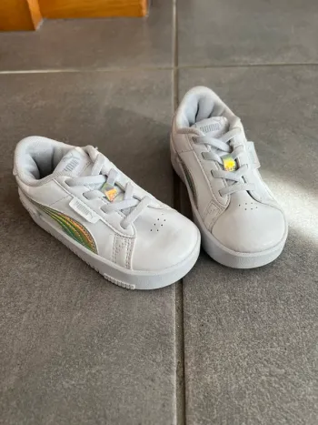 Puma 24