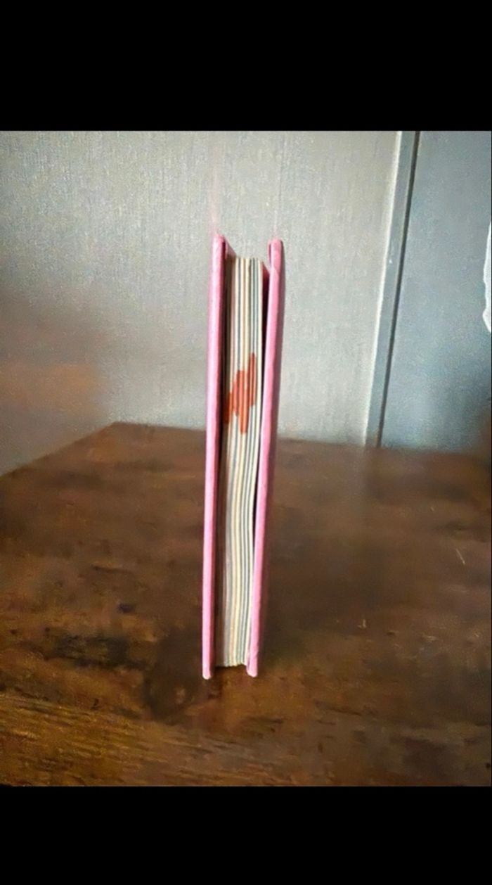Livre petit ours brun - photo numéro 2