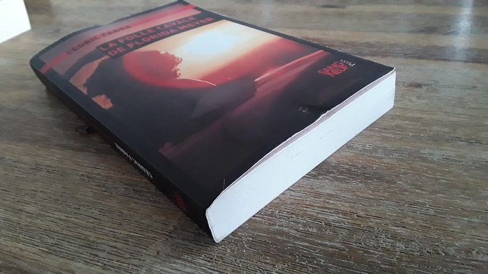 Livre La folle cavale de Florida Meyer de Cédric Fabre - photo numéro 2