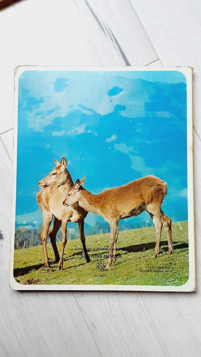 Livre vintage 1980 Hemma, animaux de la forêt, Autour de nous - photo numéro 2