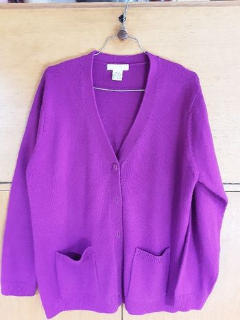 gilet col v