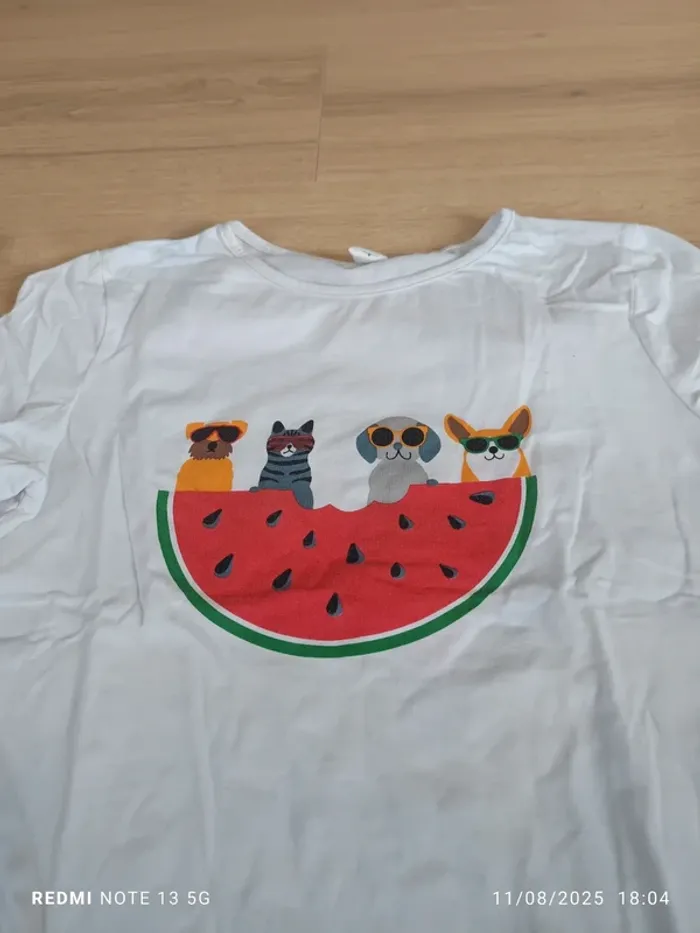 Magnifique t-shirt pastèque avec chien et chat shein taille 10 ans - photo numéro 2