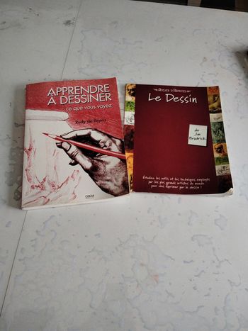 Lot de 2 livres pour apprendre a dessiner