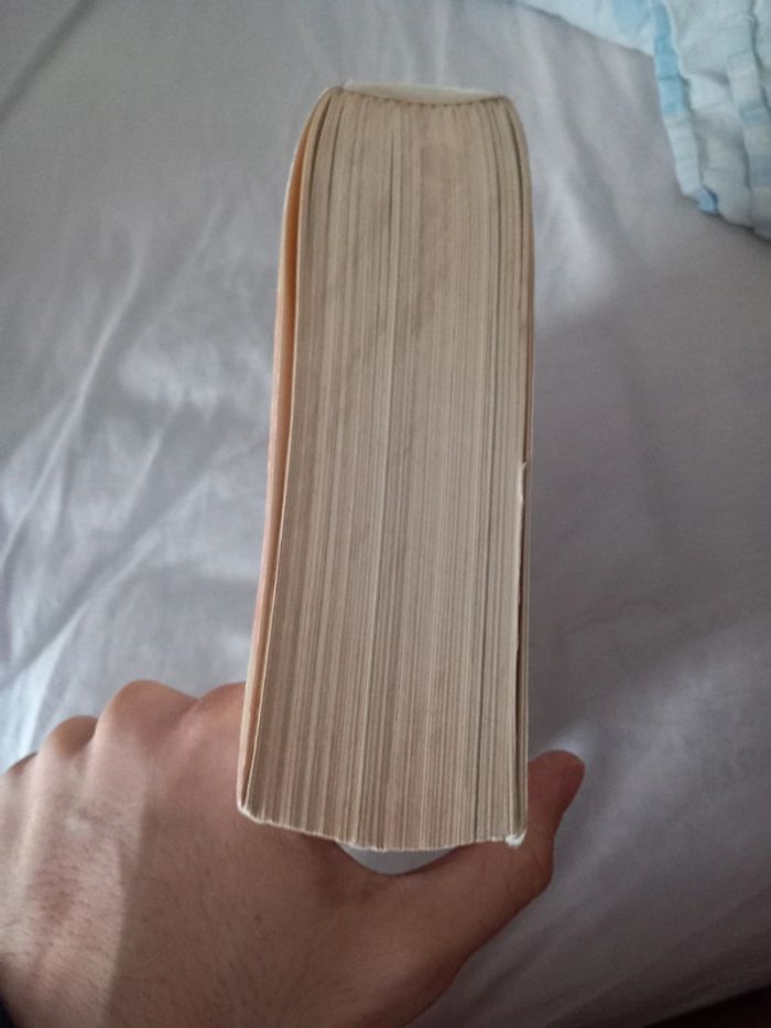 La route enchantée - photo numéro 4