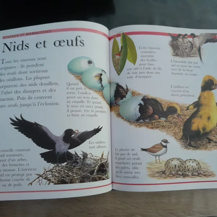 ma grande encyclopédie + 5 ans - photo numéro 5