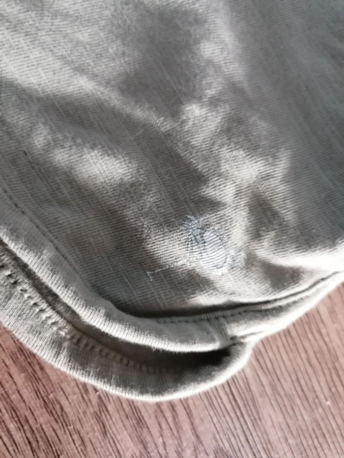 Short Orchestra - photo numéro 3