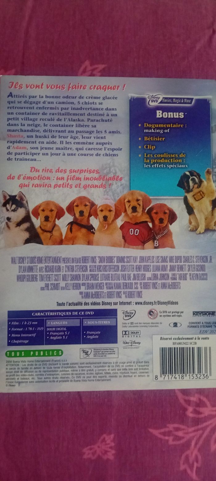 Dvd les copains des neiges - photo numéro 2