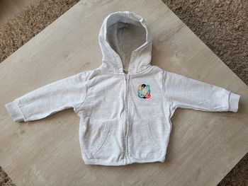 Gilet zippé, tape à l'œil, taille 23 mois