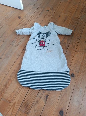 Gigoteuse Disney 6/24mois