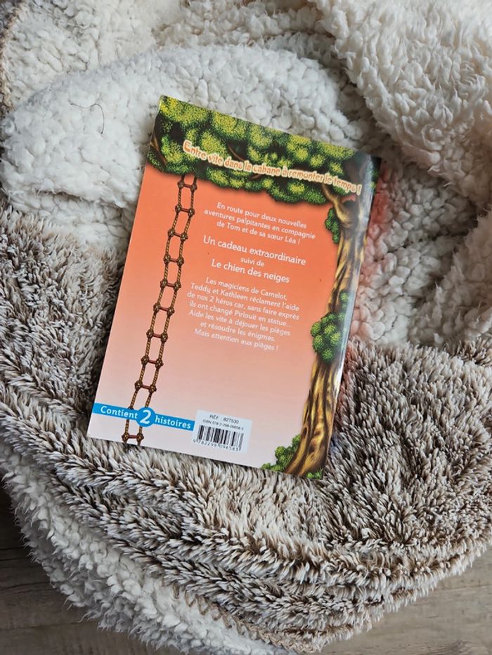 Livre - photo numéro 2