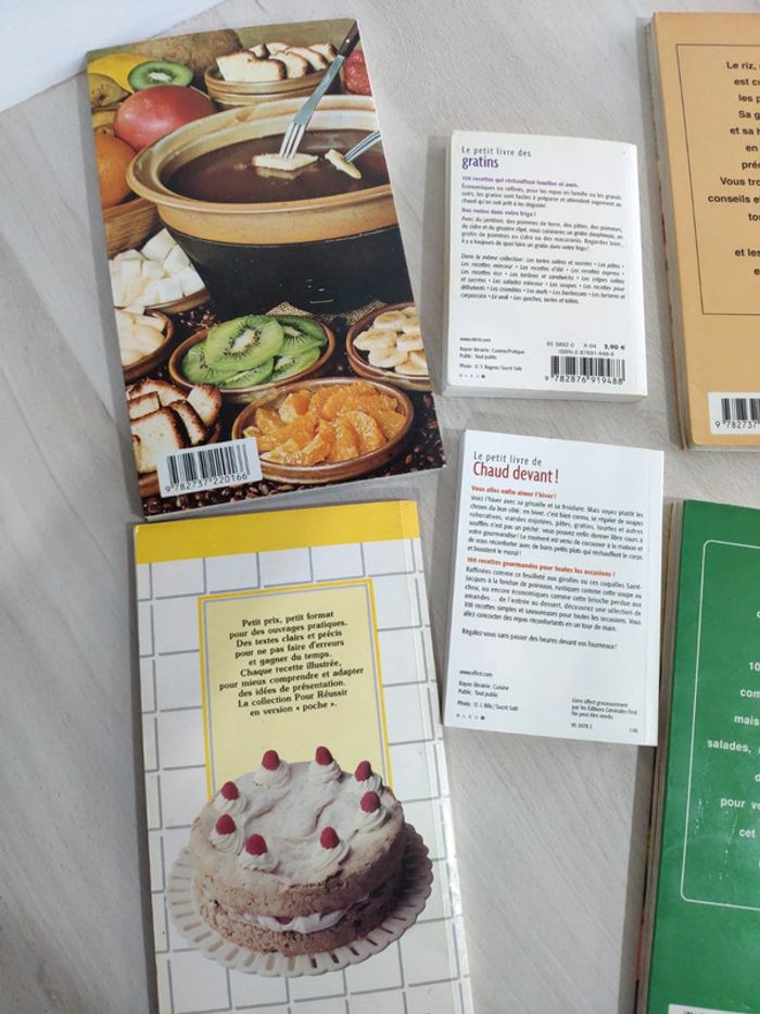 Lot 6 livres cuisine recettes pommes riz desserts fondues raclettes gratins - photo numéro 5