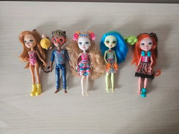 Lot de 5 poupées Enchantimals - Mattel