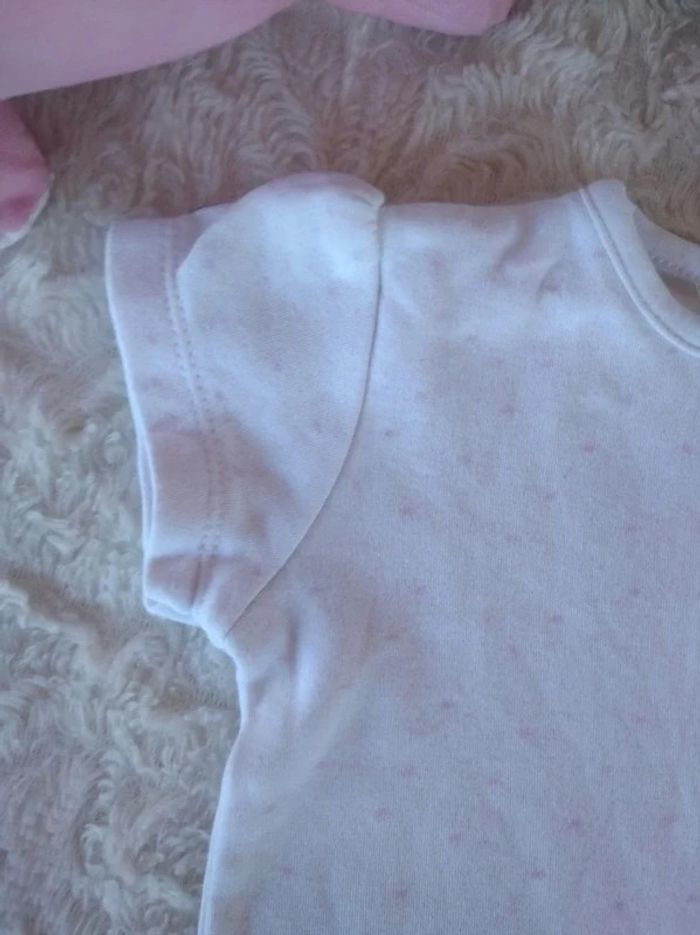 Tee shirt manches courtes Fille 6 mois Les bébés sont comme ça 100% coton - photo numéro 3