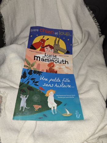 📚 Lot de 3 livres souples " Lire c'est partir "