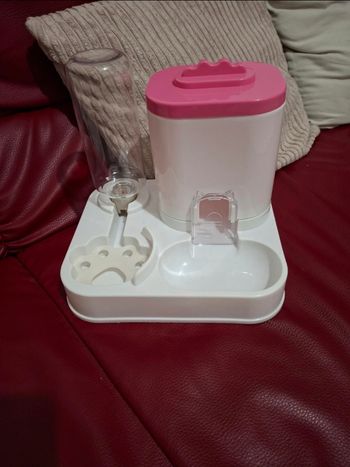 Distributeur nourriture et eau pour chat