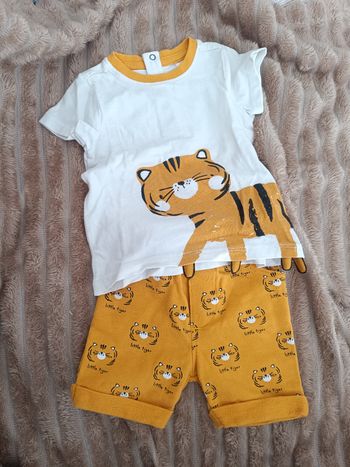 Ensemble Orchestra 6 mois short + t-shirt très bon état