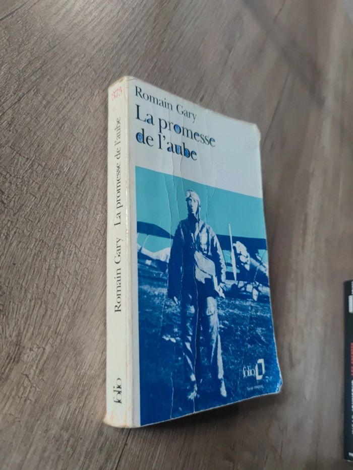 La promesse de l'aube - photo numéro 2