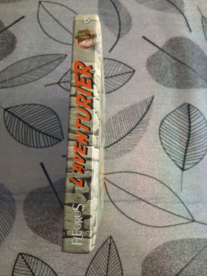 P'tit héros l'aventurier - photo numéro 4