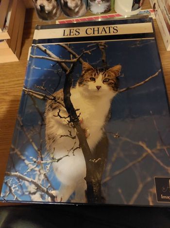 Livre sur les chats 
