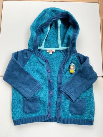 Gilet à capuche