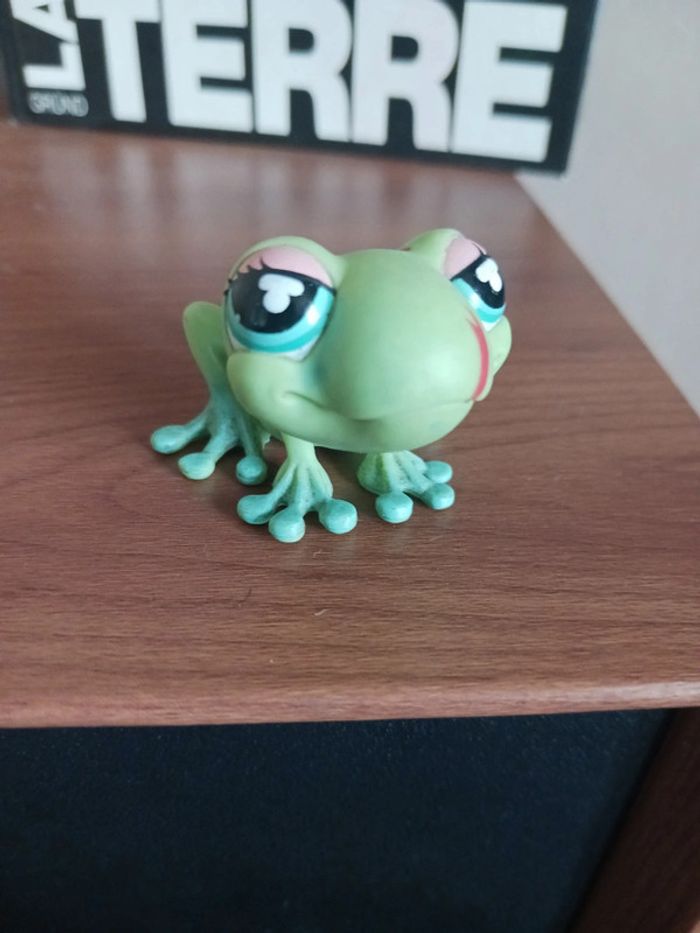 Petshop grenouille #474 - photo numéro 3