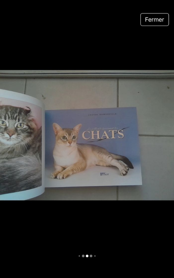 Le monde fascinant des chats - photo numéro 6