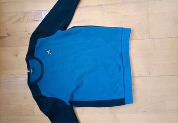 Pull coq sportif