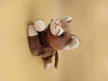 Peluche TY Chat Pounce 1997