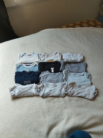 Lot bodies ML