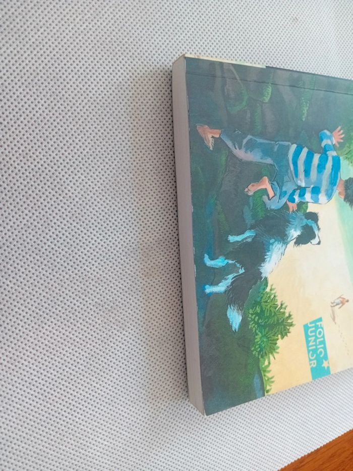 Livre "Le royaume de Kensuké" - photo numéro 4