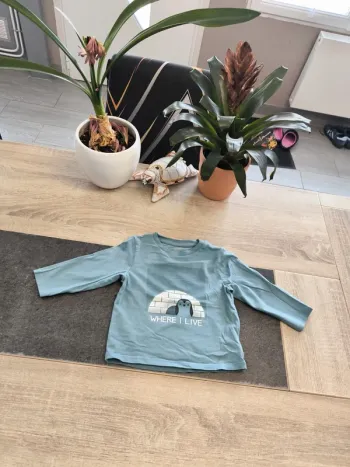 Tee-shirt garçon ml 18 mois obaibi