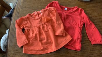 Lot de 2 tee-shirts bébé