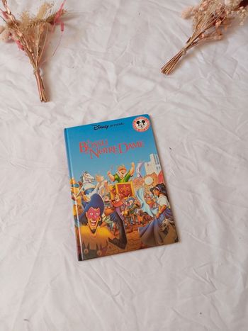 Livre Disney