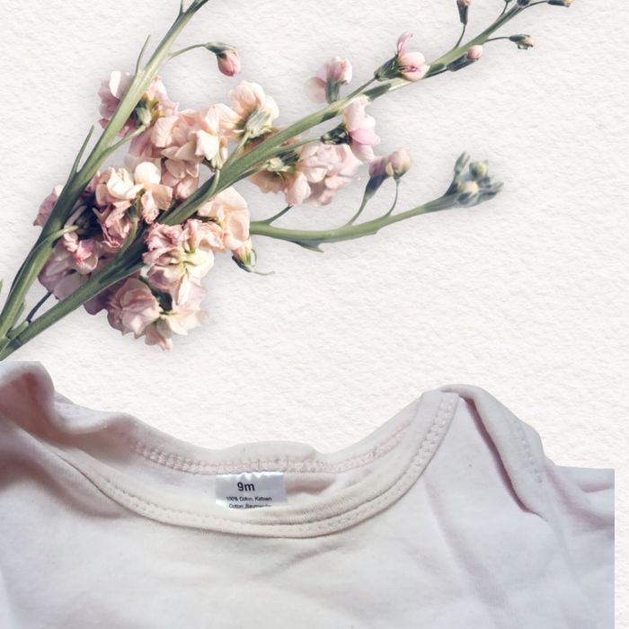 Body "Petite Princesse" taille 9 mois - photo numéro 3