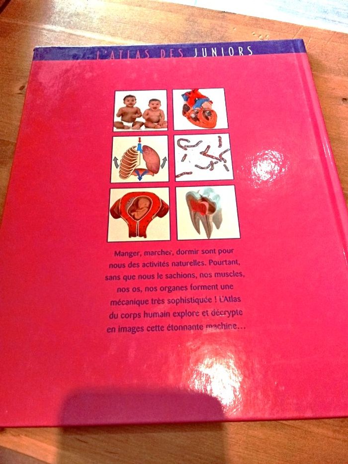 livre l'atlas des juniors le corps humain - photo numéro 2